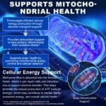 Methylene blue solution - Image 6